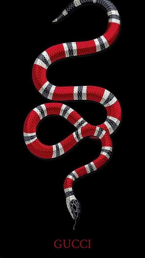 gucci snake background.